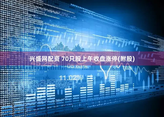 兴盛网配资 70只股上午收盘涨停(附股)
