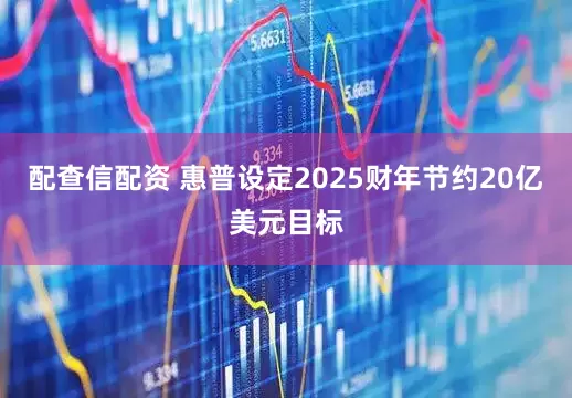配查信配资 惠普设定2025财年节约20亿美元目标